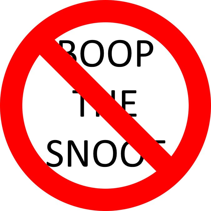 Why We Don't Use 'Boop The Snoot' or 'Booper Snoot'